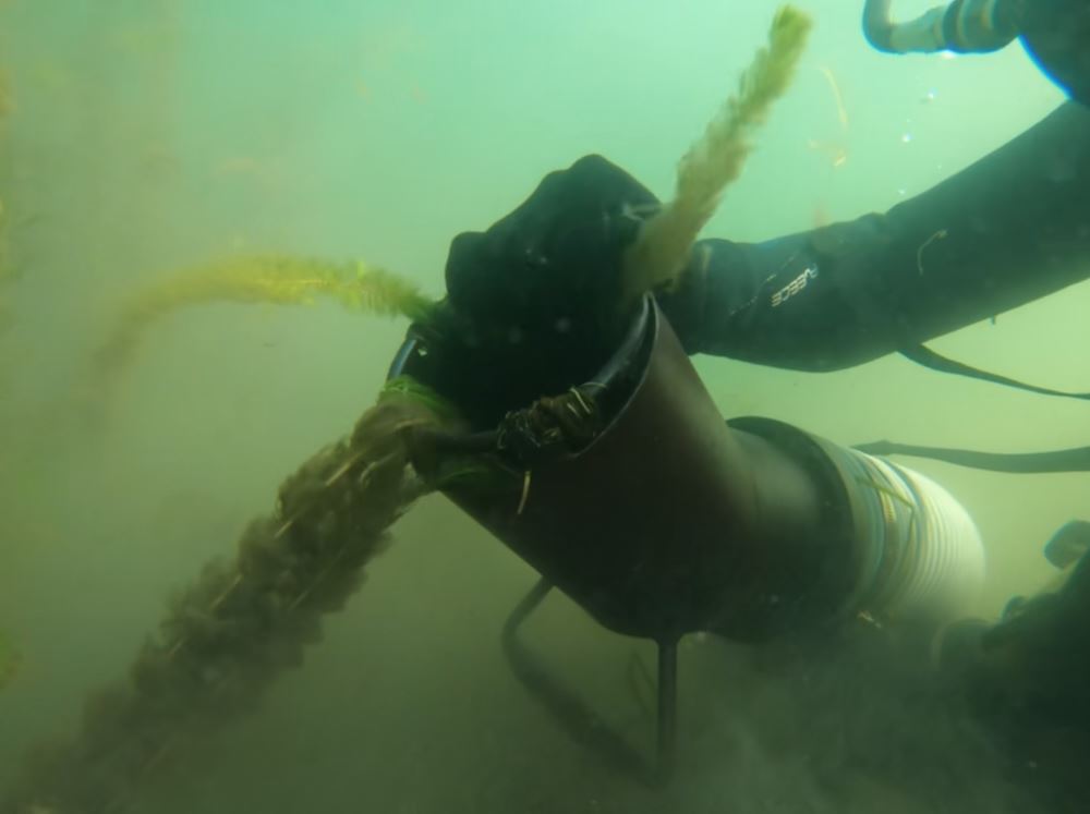 LSCA's DASH team working under water.