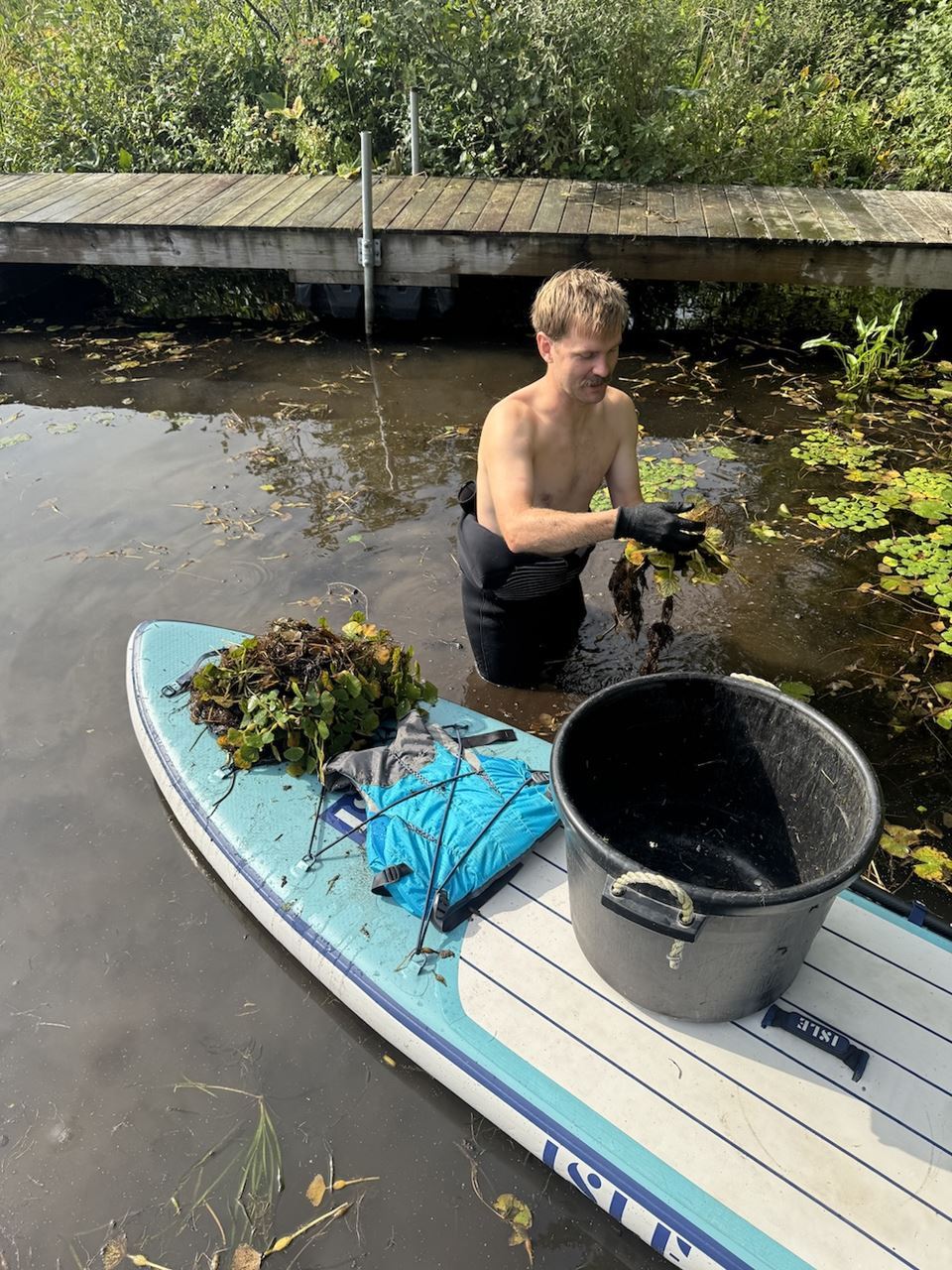 Beck hand-pulling water chestnut on Lake St. Catherine