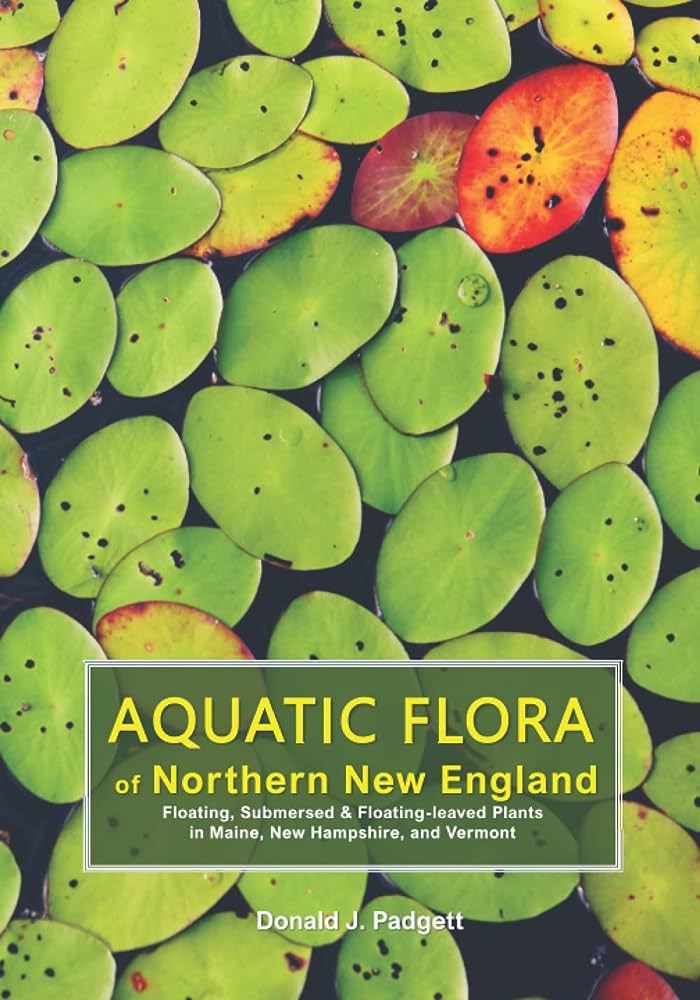 "Aquatic Flora of Northern New England" by Donald J. Padgett. 
