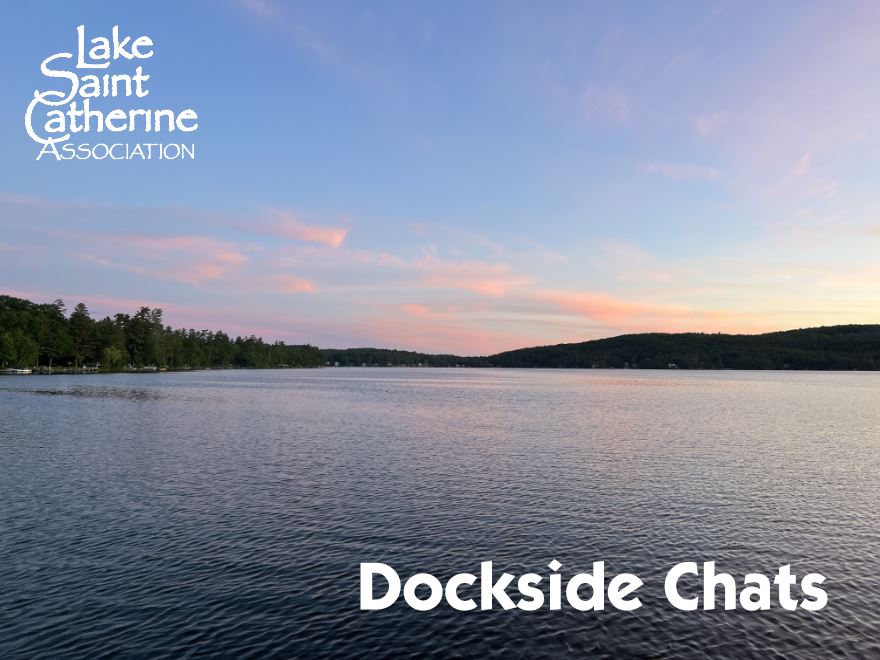 LSCA's Dockside Chats