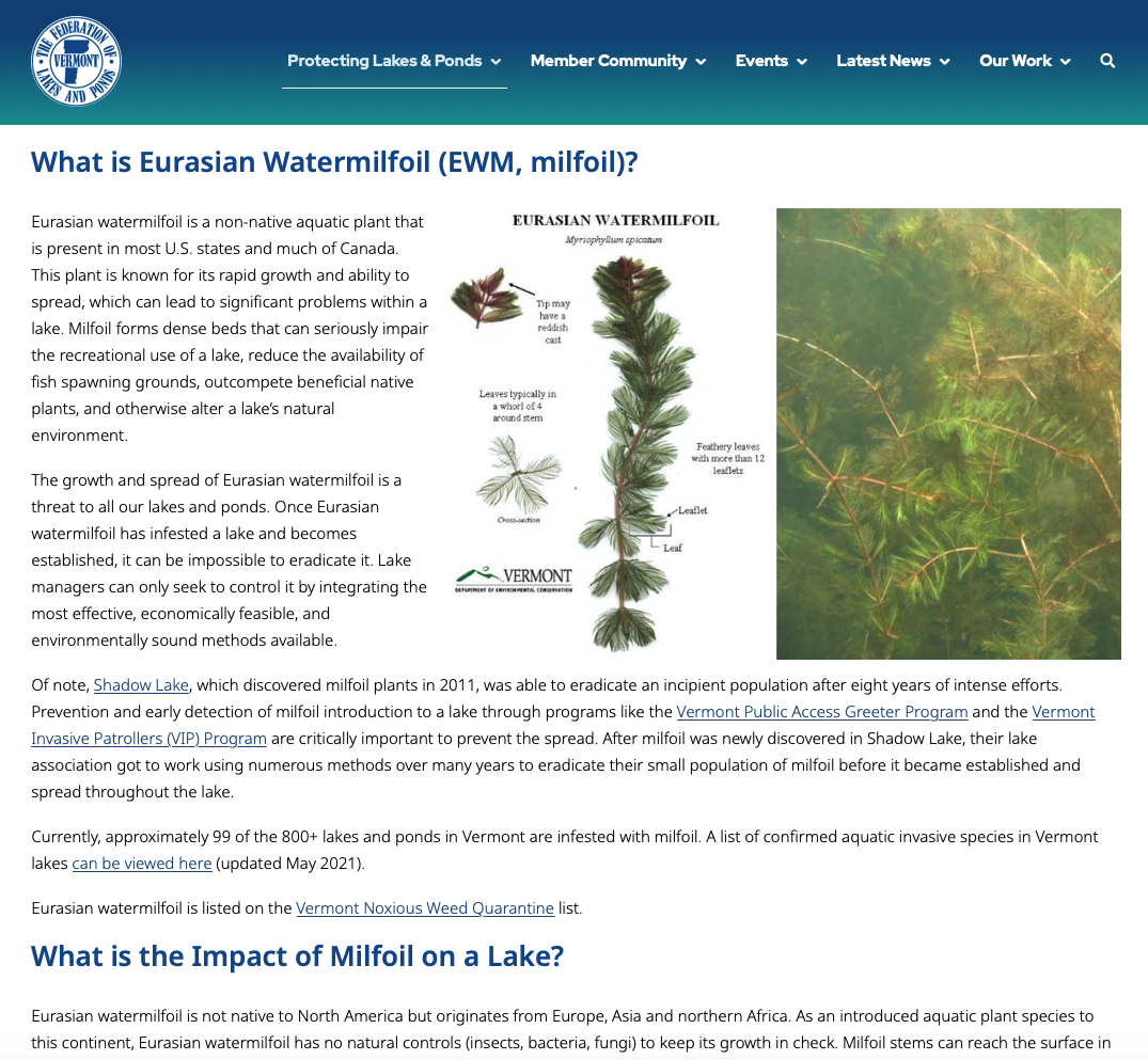 The Federation of Vermont Lakes and Ponds Eurasian Watermilfoil page